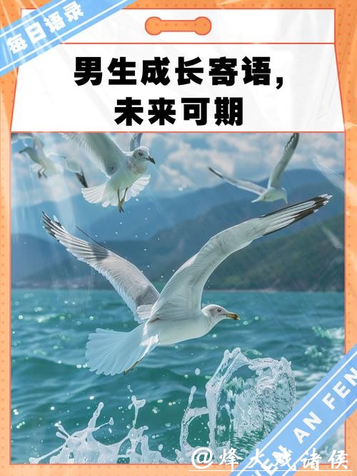 正视差距,未来可期 正视差距,未来可期